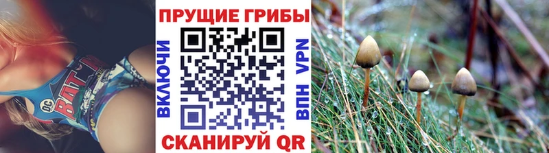 где продают   Верея  ссылка на мегу ССЫЛКА  Галлюциногенные грибы Magic Shrooms 